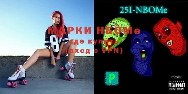 индика Горняк