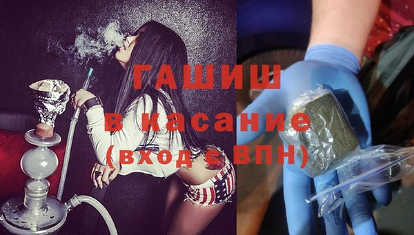 индика Горняк