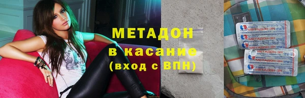 индика Горняк