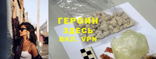 индика Горняк