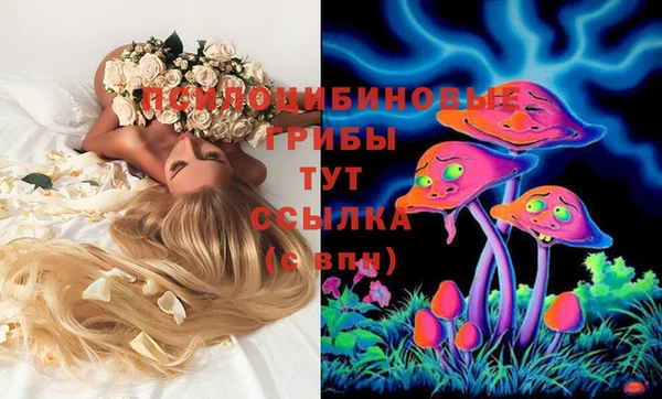 2c-b Горно-Алтайск