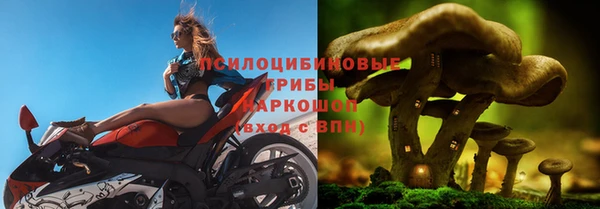 2c-b Горно-Алтайск