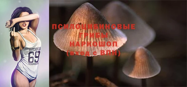 2c-b Горно-Алтайск