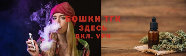 индика Горняк