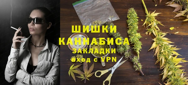 индика Горняк