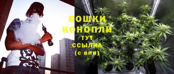 индика Горняк