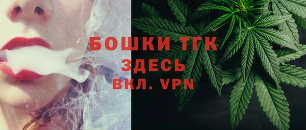 индика Горняк