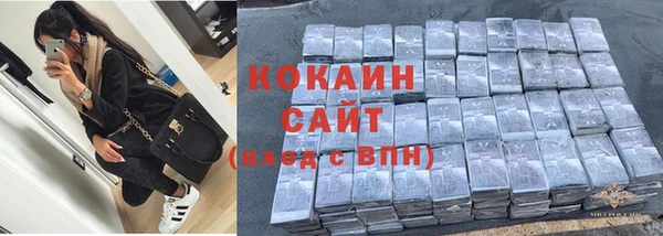 индика Горняк