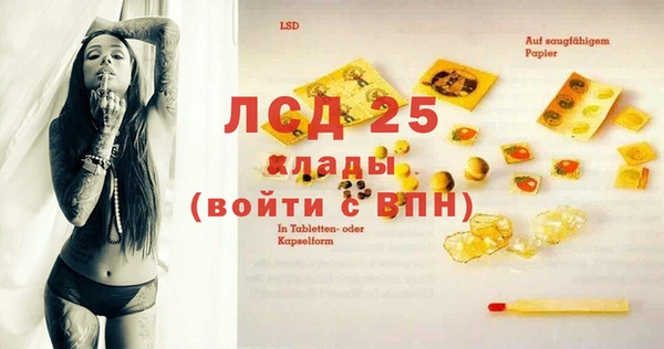 индика Горняк