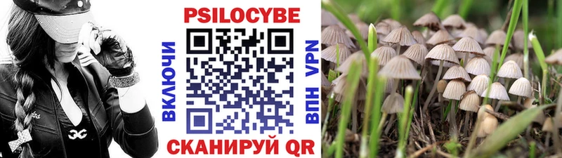 darknet официальный сайт  blacksprut ССЫЛКА  Канск  Псилоцибиновые грибы мицелий 