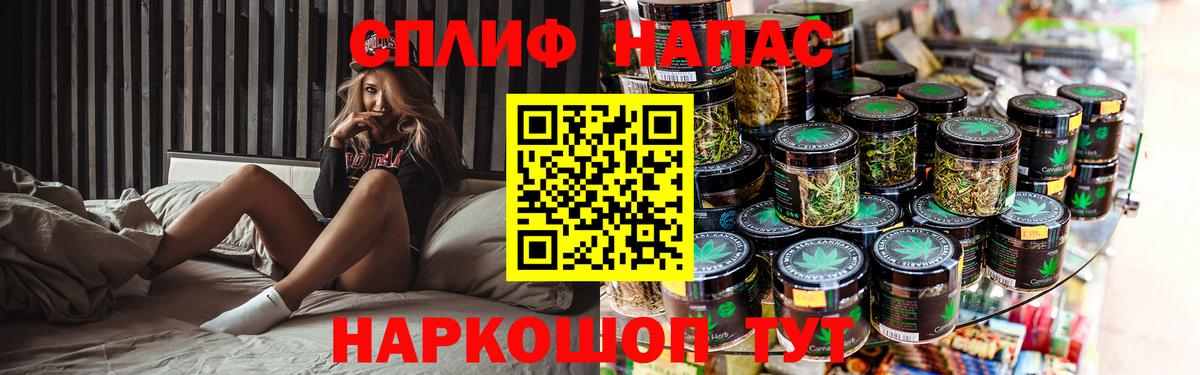 Каннабис планчик Канск